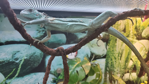 Pet Supply Store «Petco Animal Supplies», reviews and photos, 2621 MacArthur Rd, Whitehall, PA 18052, USA