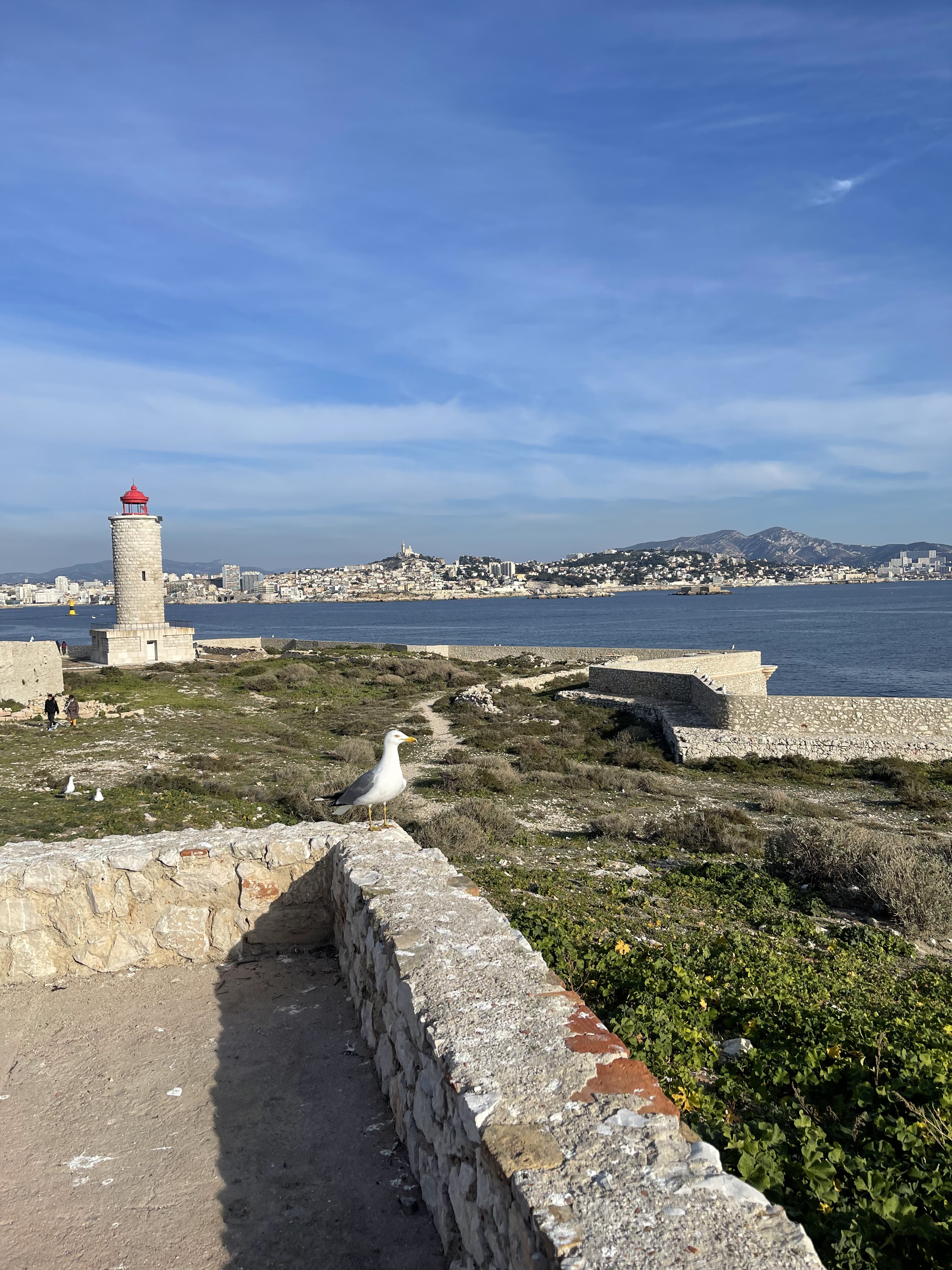 Photo n° 2 de l'avis de Farinelli.a fait le 17/08/2023 à 15:36