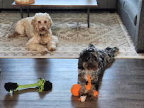 Sarah's Paws Spokane - Photo 7 - Car repair in Spokane, WA, Spokane