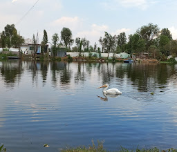 Laguna de San Gregorio Atlapulco photo