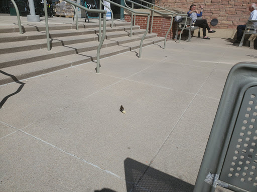 Grocery Store «Whole Foods Market», reviews and photos, 444 S Wadsworth Blvd, Lakewood, CO 80226, USA