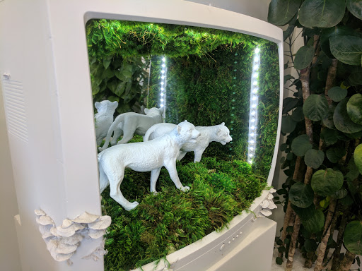 Interior Plant Service «Plant The Future, Inc.», reviews and photos, 2511 NW 2nd Ave, Miami, FL 33127, USA