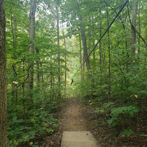 Tourist Attraction «Adventureworks Zipline Forest», reviews and photos, 4129 Whites Creek Pike, Whites Creek, TN 37189, USA