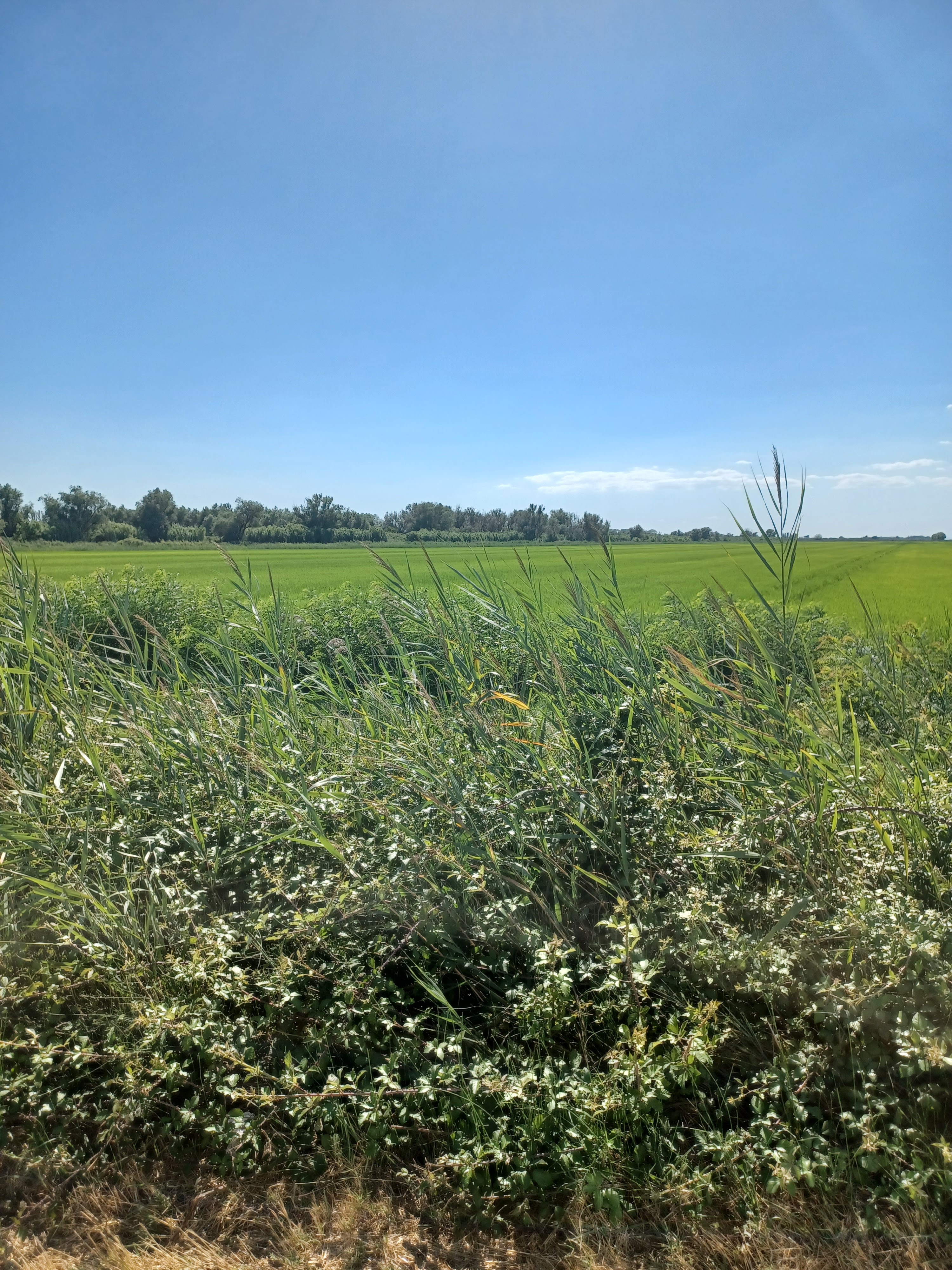 Photo n° 14 de l'avis de Christi. fait le 23/08/2022 à 16:27