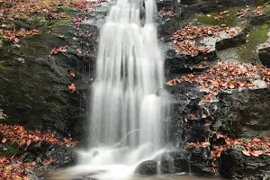 Waterfalls Park image