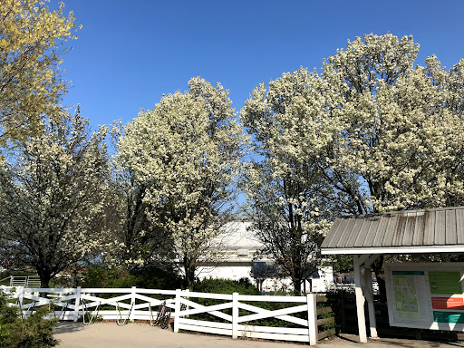 Zoo «Farm In The Zoo», reviews and photos, 1911 N Stockton Dr, Chicago, IL 60614, USA