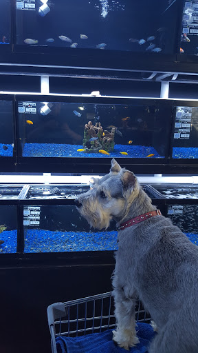 Pet Supply Store «Pet Food Center», reviews and photos, 2243 Lowes Dr E, Clarksville, TN 37043, USA