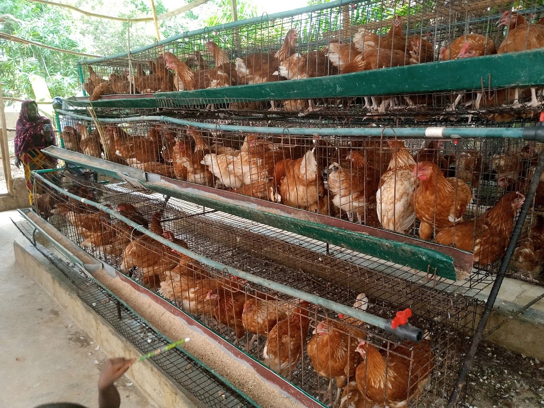SWORG Farms