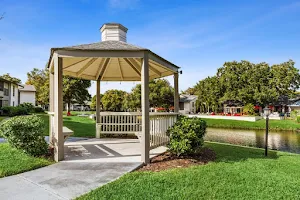 Carrollwood Station Apartments image