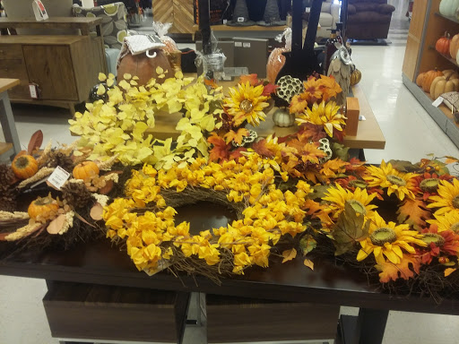 Department Store «T.J. Maxx», reviews and photos, 1627 Gallatin Pike N, Madison, TN 37115, USA