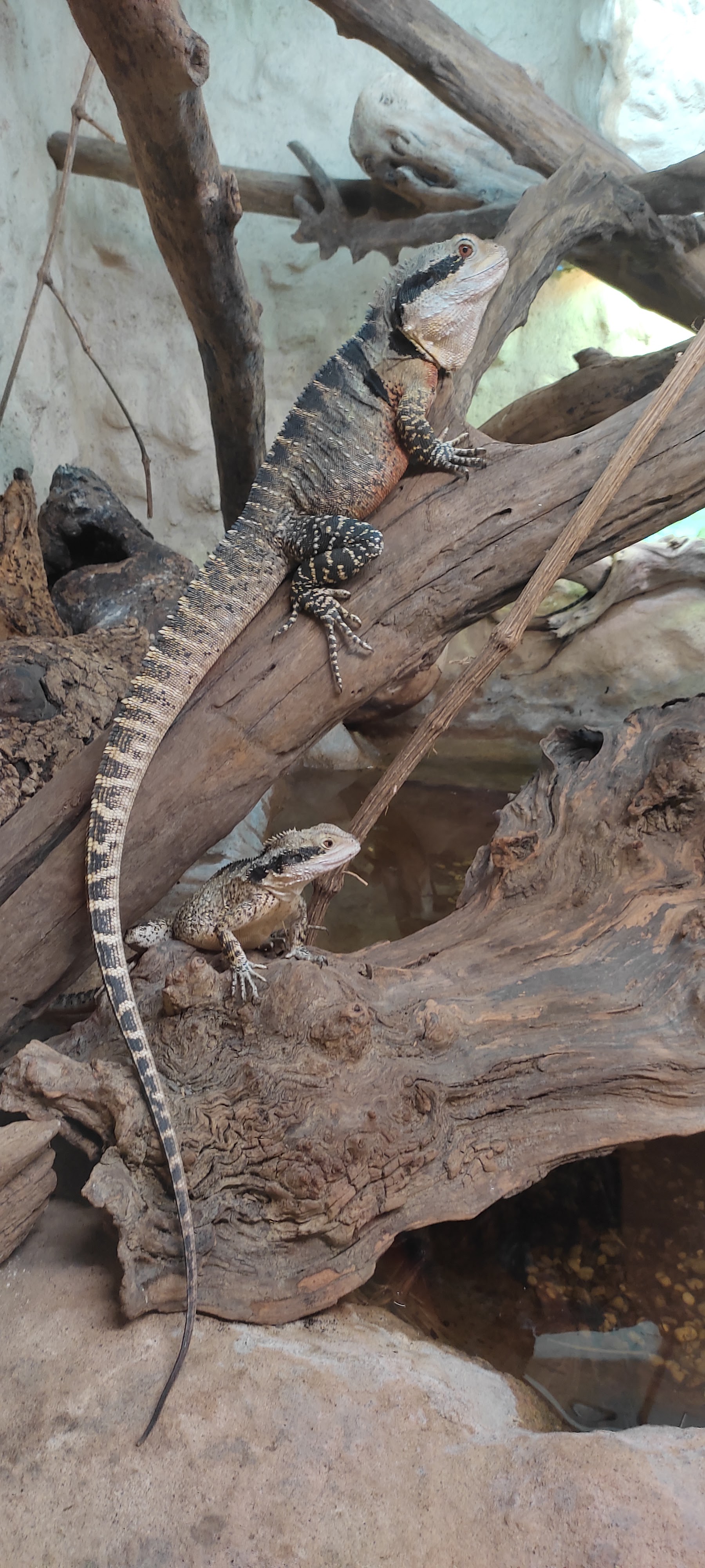 Photo n° 3 de l'avis de Astrid.i fait le 17/09/2021 à 13:14