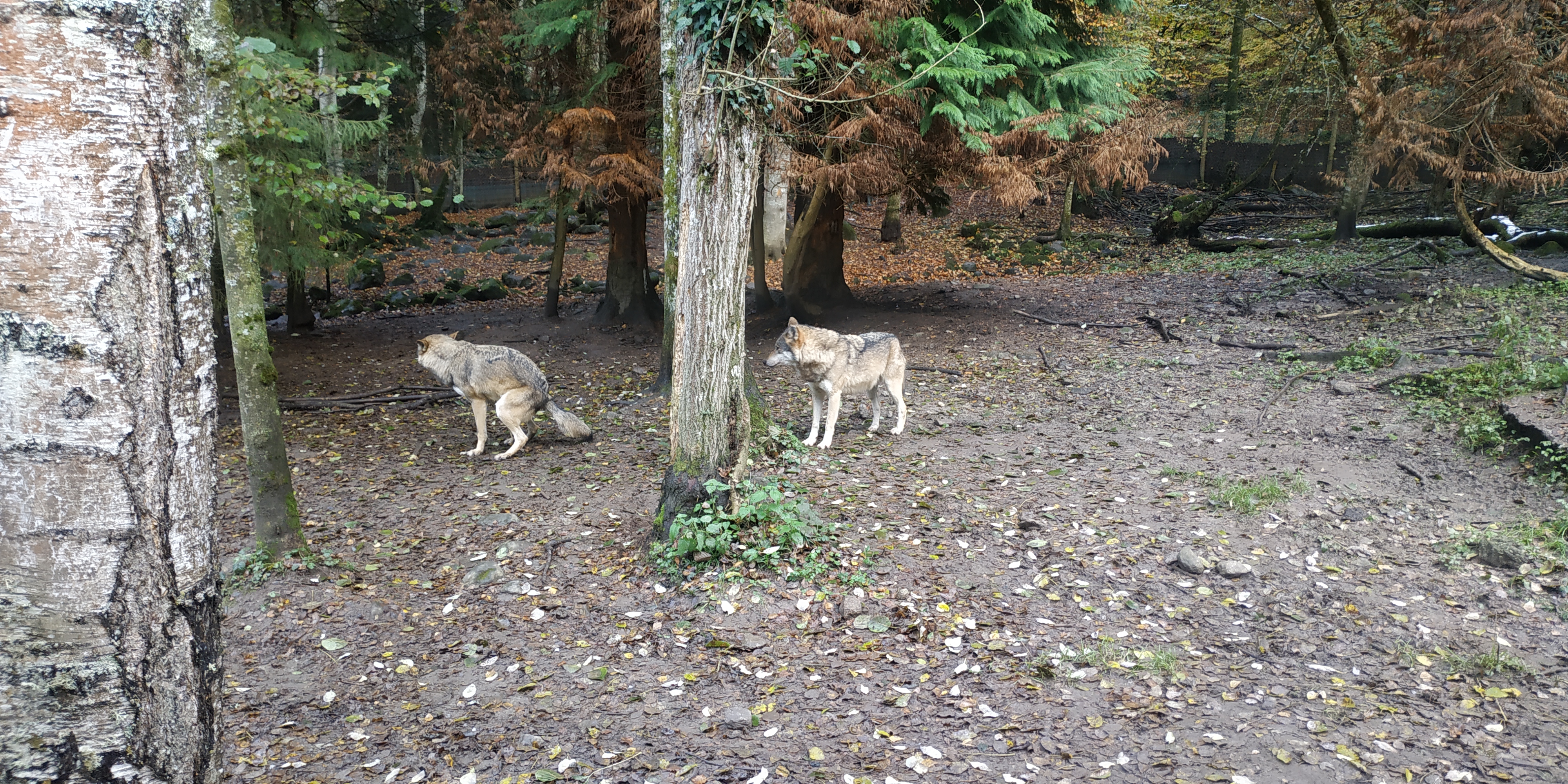 Photo n° 10 de l'avis de nanard.o fait le 09/11/2018 à 10:39