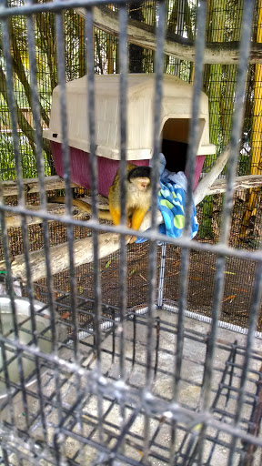 Animal Rescue Service «McCarthys Wildlife Sanctuary», reviews and photos, 12943 61st St N, West Palm Beach, FL 33412, USA