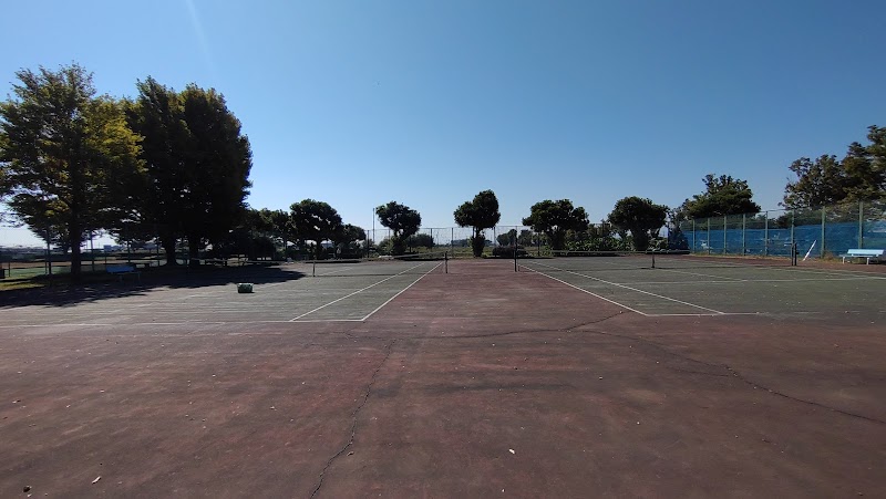 木崎コミュニティ運動公園テニスコート