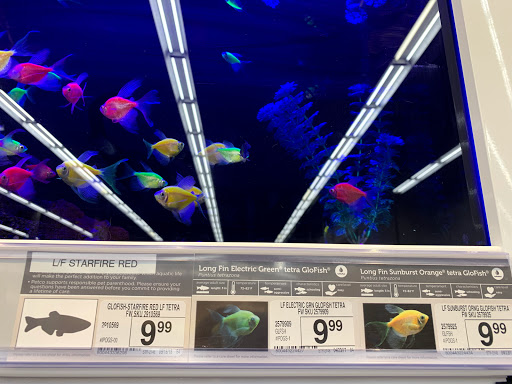 Pet Supply Store «Petco Animal Supplies», reviews and photos, 3452 W Chandler Blvd, Chandler, AZ 85226, USA