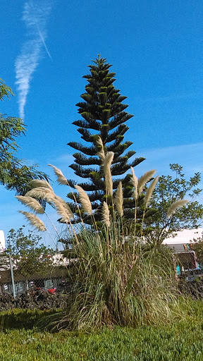 Sporting Goods Store «Big 5 Sporting Goods - El Toro», reviews and photos, 24314 Swartz Dr, Lake Forest, CA 92630, USA