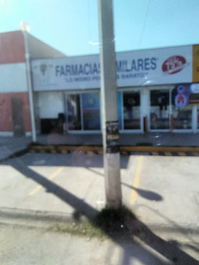 Farmacias Similares, , La Noria (La Rosita)