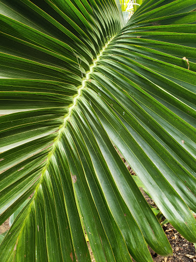 Zoo «Sedgwick County Zoo», reviews and photos, 5555 Zoo Boulevard, Wichita, KS 67212, USA