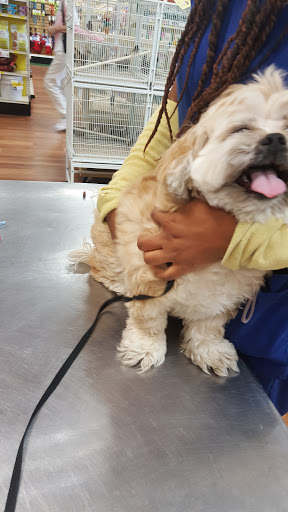 Pet Supply Store «Pet Supermarket», reviews and photos, 2924 13th St, St Cloud, FL 34769, USA