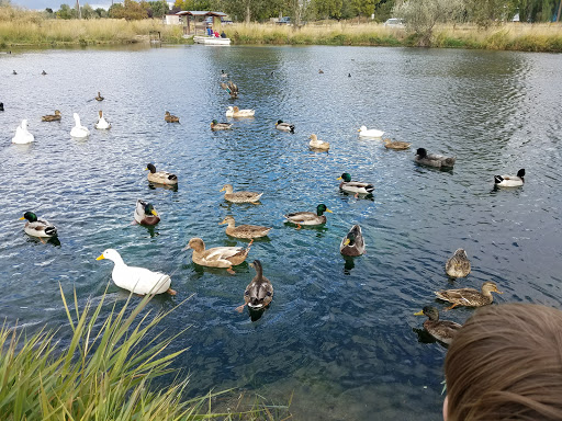 Nature Preserve «Wilson Springs Ponds», reviews and photos, 3209-3507 S Powerline Rd, Nampa, ID 83686, USA