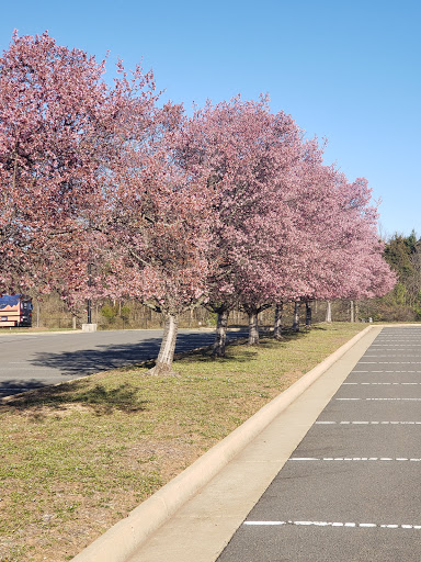 Museum «Steven F. Udvar-Hazy Center», reviews and photos, 14390 Air and Space Museum Pkwy, Chantilly, VA 20151, USA