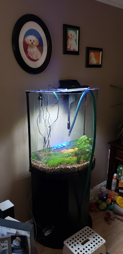 Pet Supply Store «Pet Supplies Plus», reviews and photos, 26230 Hoover Rd, Warren, MI 48089, USA