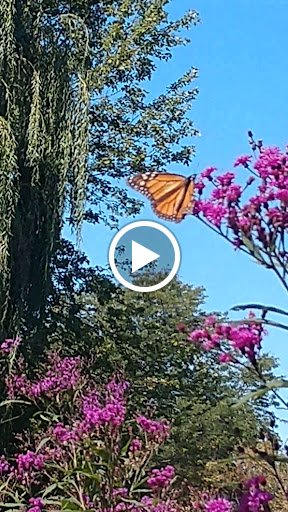 Park «Winnemac Park», reviews and photos, 5100 N Leavitt St, Chicago, IL 60625, USA