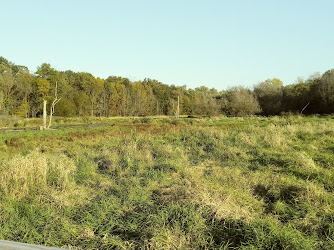 Blackfork Wetlands