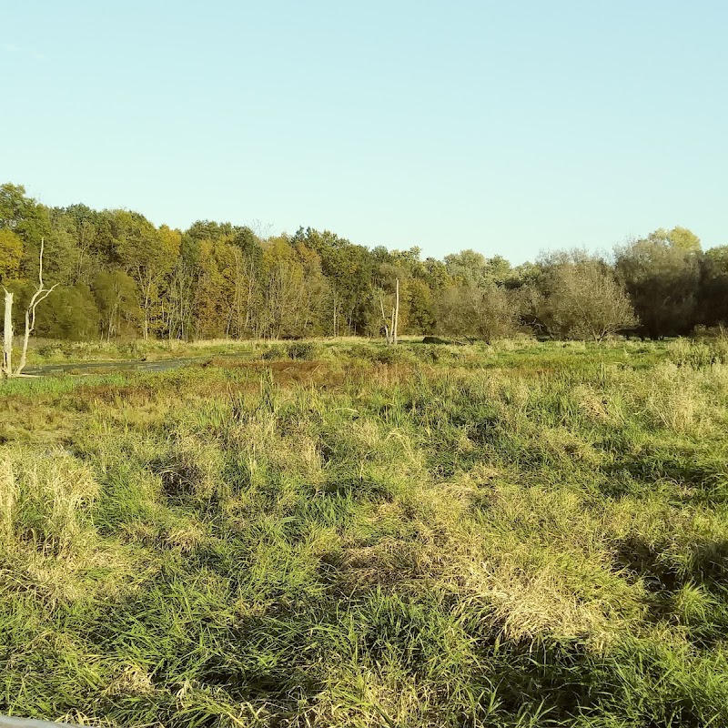 Blackfork Wetlands