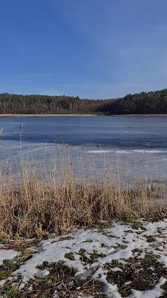Vidéos Ferienwohnung Parkresidenz Lychen GmbH 17279 Lychen