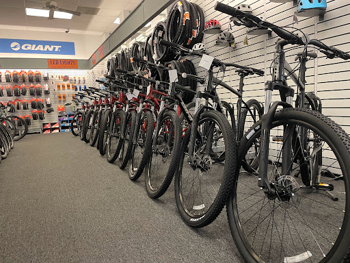 Bicycle Store «Junction Bicycle Sales & Service Inc», reviews and photos, 10908 E Apache Trail, Mesa, AZ 85208, USA