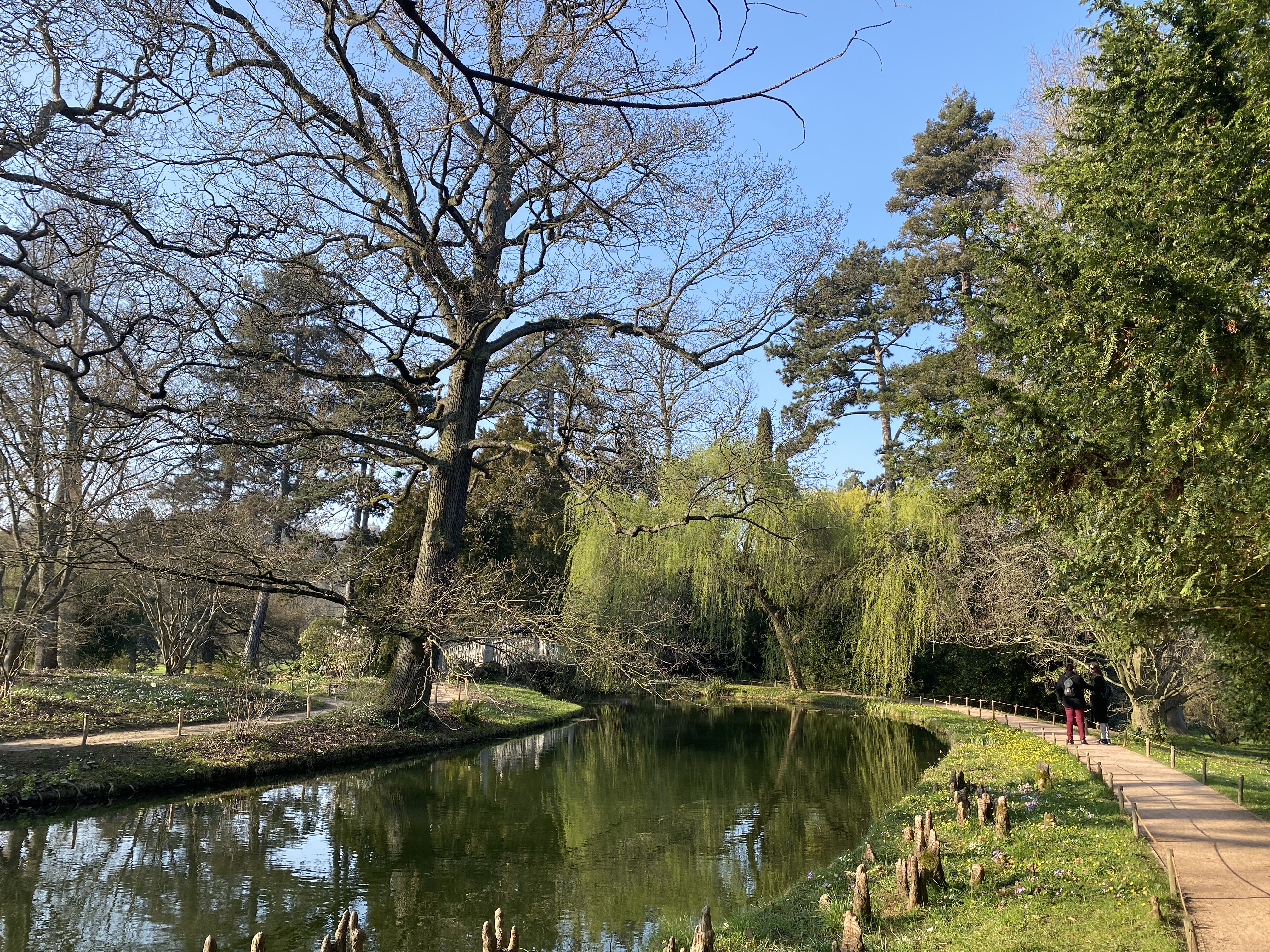 Photo n° 10 de l'avis de N..h fait le 20/03/2022 à 10:01