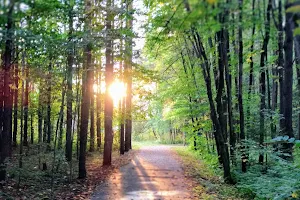 Ecological trail "Lime Mountain" image