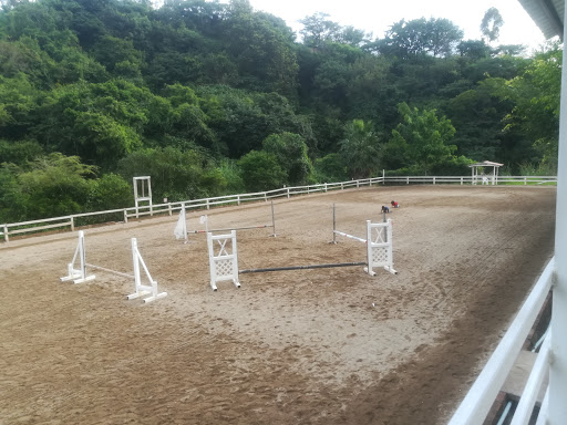 Clases equitacion Tegucigalpa