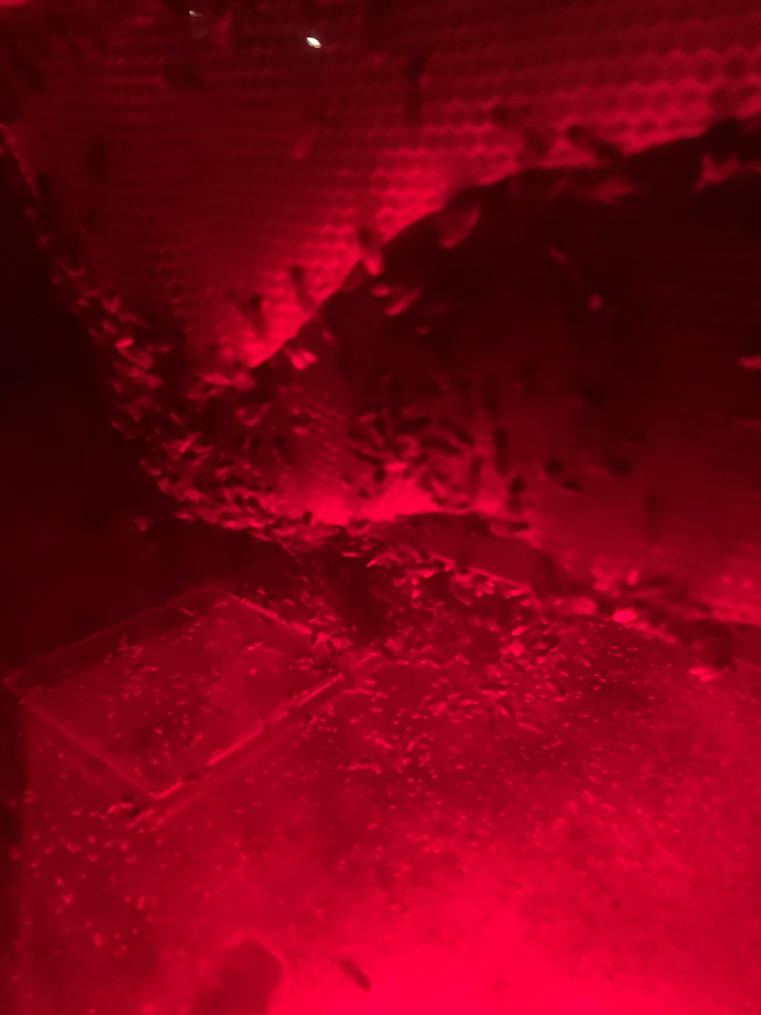 Photo n° 1 de l'avis de Eric.n fait le 16/07/2021 à 09:34