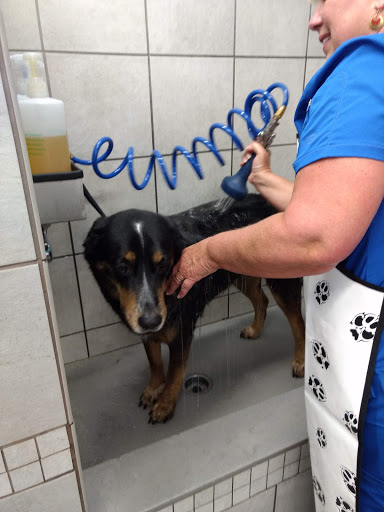 Pet Supply Store «Pet Supplies Plus», reviews and photos, 605 Grand Central Ave, Vienna, WV 26105, USA