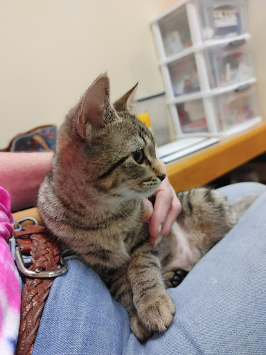 Pet Supply Store «Petco Animal Supplies», reviews and photos, 1298 W Granada Blvd #100, Ormond Beach, FL 32174, USA