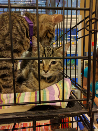 Pet Supply Store «PetSmart», reviews and photos, 5226 S College Rd, Wilmington, NC 28412, USA