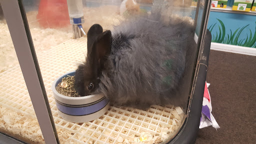 Pet Store «Fins And Feathers», reviews and photos, 222 Willow Ave, Honesdale, PA 18431, USA