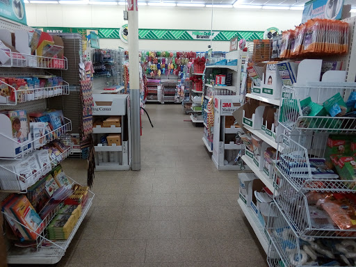 Dollar Store «Dollar Tree», reviews and photos, 1466 N Woodland Blvd, DeLand, FL 32720, USA