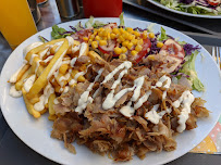 Plats et boissons du Royal Kebab Restaurant à Eymoutiers - n°1