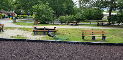 Zoo «Cape May County Park & Zoo», reviews and photos, 707 U.S. 9, Cape May Court House, NJ 08210, USA