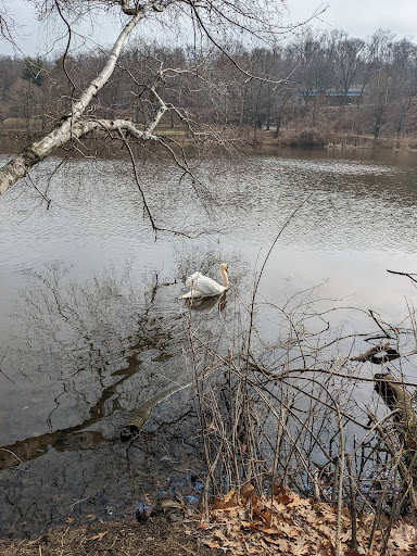 Park «Friends of Van Cortlandt Park», reviews and photos, 80 Van Cortlandt Park S, Bronx, NY 10463, USA