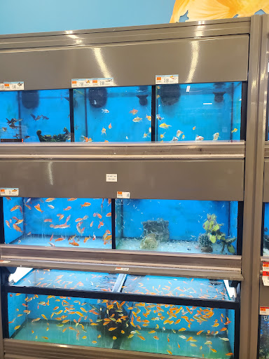 Pet Supply Store «Pet Supplies Plus», reviews and photos, 3240 S Cobb Dr SE #750, Smyrna, GA 30080, USA