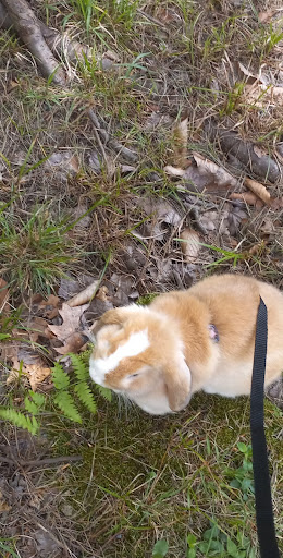 Pet Supply Store «Pet Palace Inc», reviews and photos, 253 Scranton Carbondale Hwy, Scranton, PA 18508, USA