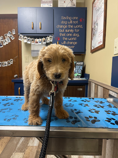 44 N Center St, Winder, GA 30680, USA