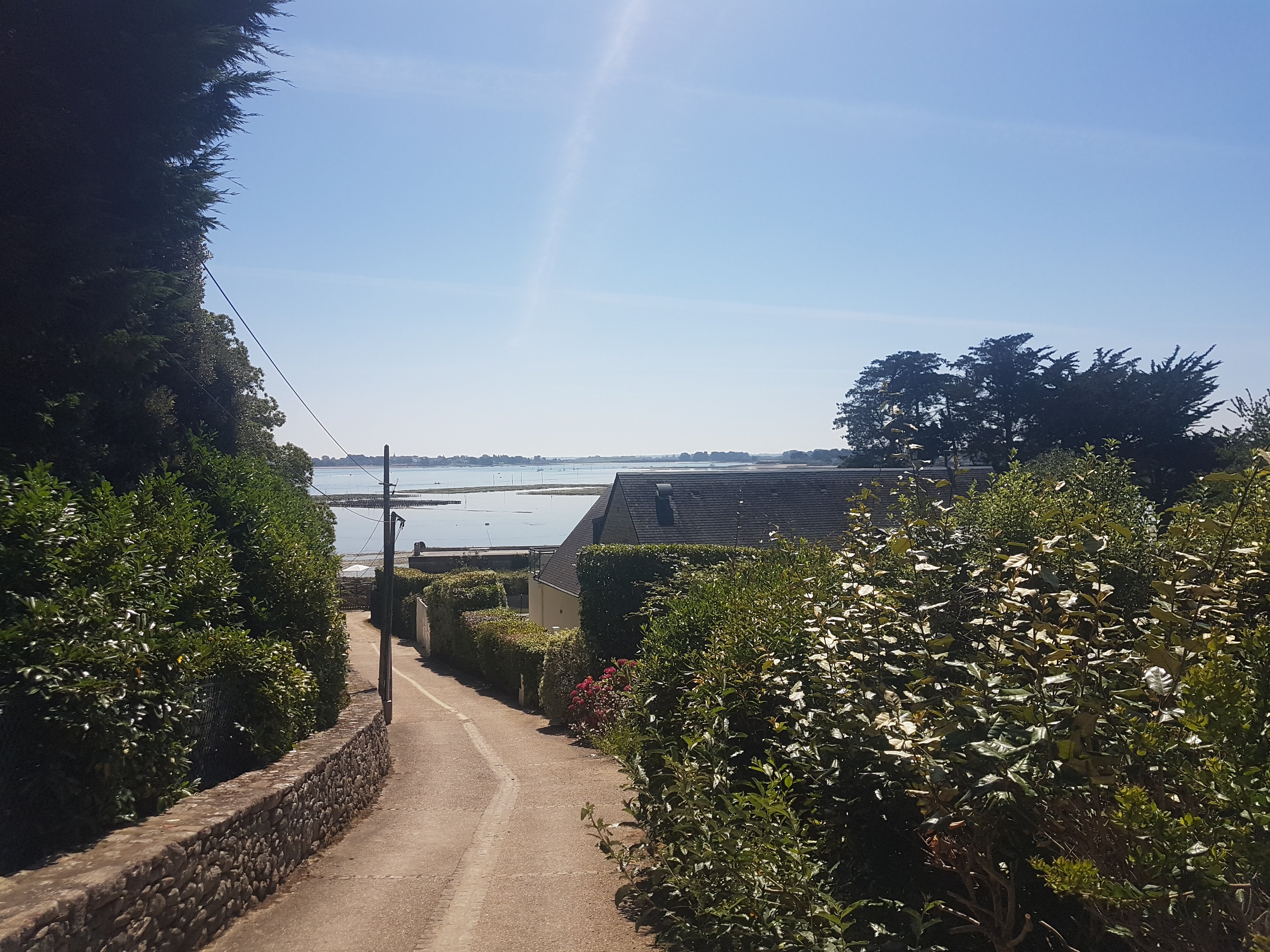 Photo n° 1 de l'avis de Thomas.a fait le 23/07/2020 à 08:28