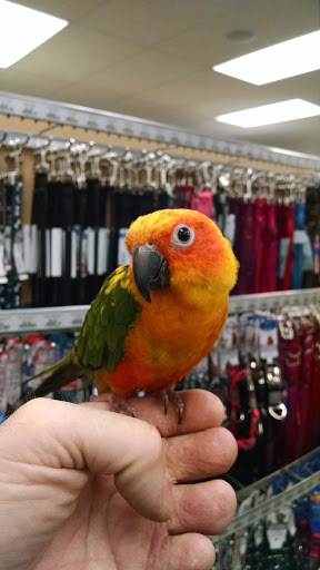 Pet Supply Store «Pet Supplies Plus», reviews and photos, 1530 S Washington St, Crawfordsville, IN 47933, USA