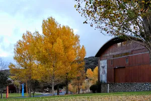 The Painted Turtle Lake Hughes image