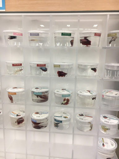 Pet Supply Store «Petco Animal Supplies», reviews and photos, 1011 University Blvd #100, Suffolk, VA 23435, USA